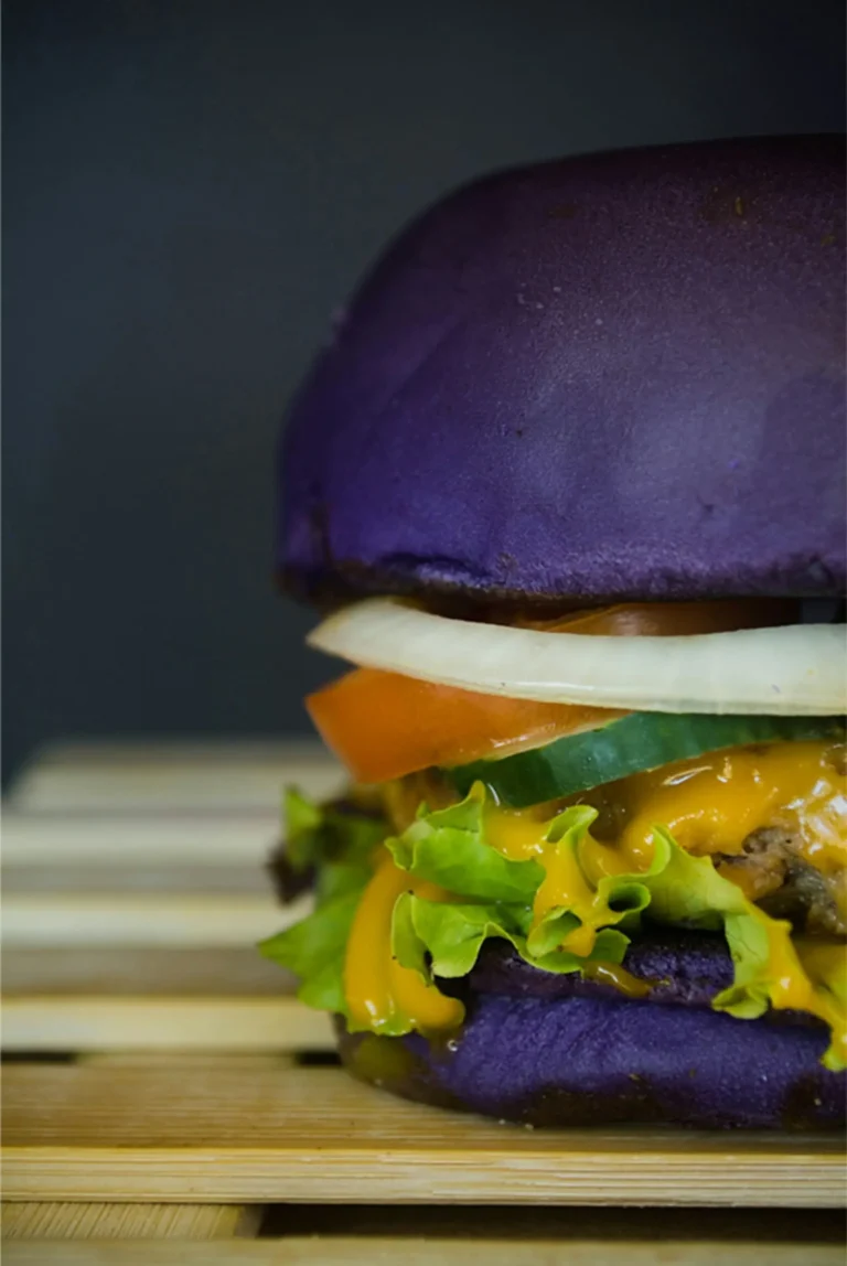 meilleur-pain-hamburger